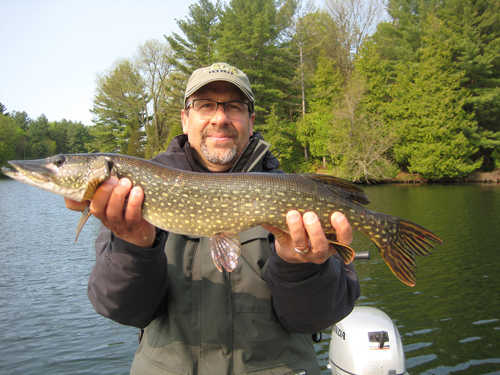 Braggin Board Pictures June 19, 2016 American Legacy Fishing