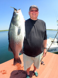 Hard to believe Bob Daly caught this impressive striper in a private lake in Central Illinois. Bob says the lake is "magical" and produced well over 1,000 fish for him and his 2 fellow fishermen!