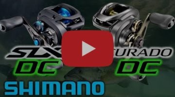 Shimano SLX DC vs. Curado DC